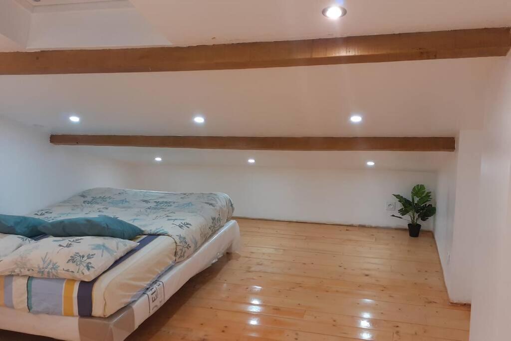 Appartement La Joie Dans Quartier Chic Pibrac Eksteriør billede