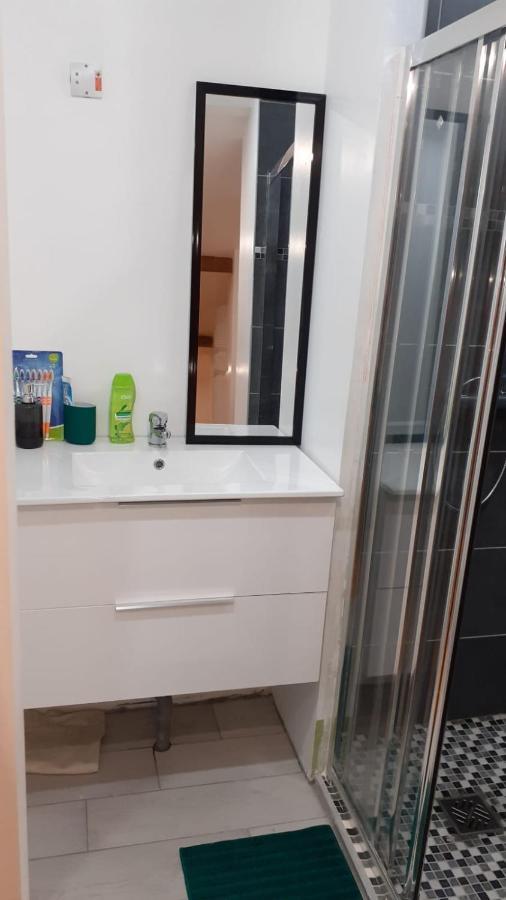 Appartement La Joie Dans Quartier Chic Pibrac Eksteriør billede